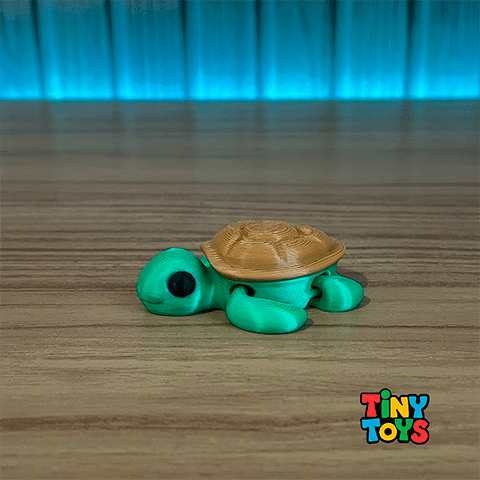 tartaruga